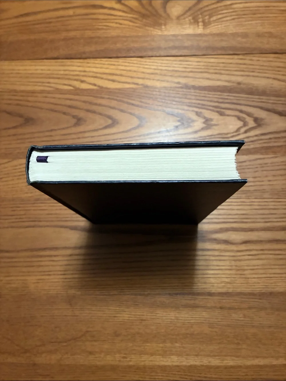To Kill a Mockingbird - Harper Lee.  Decorative Hardcover Book - Blue & Gold